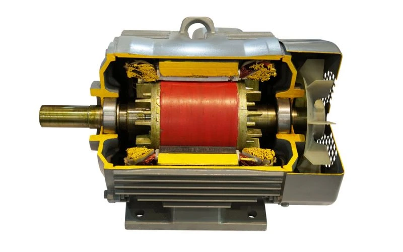 Three-Phase Induction Motor