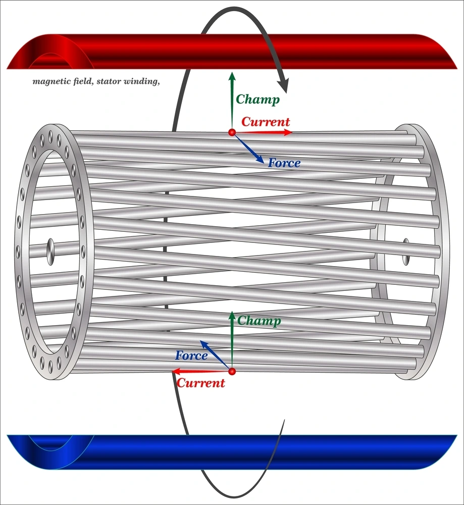Squirrel Cage Induction Motor Working Principle
